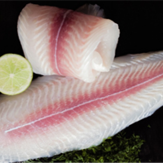 Pangasius Untrimmed Fillet