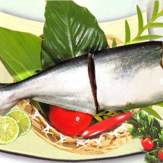 Pangasius HGT