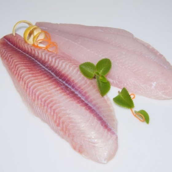 Pangasius Semi-trimmed Fillet